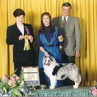 3rd place 6-9 puppy at 1999 ASSA National Specialty