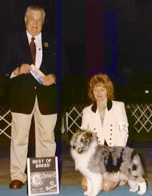 Best of Breed over a ranked special- 1999 under John Honig