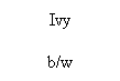Text Box: Ivy
b/w
